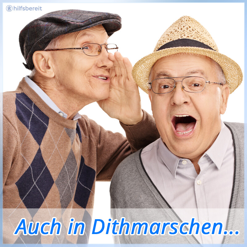 hilfsbereit.org - jetzt Haushaltshilfe auch in Dithmarschen finden